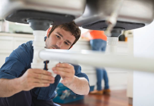 Best Clogged Drain Plumber  in Montrose, MI