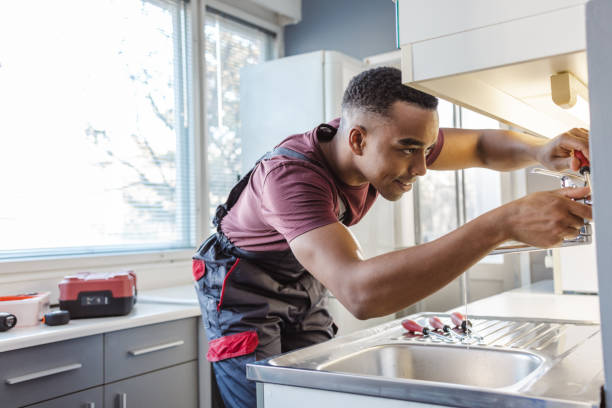 Best Faucet Repair  in Montrose, MI